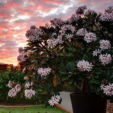 Mantra Frangipani Broome Kültér fotó